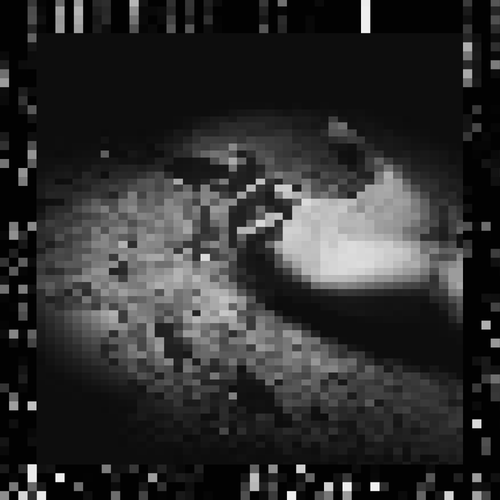 morte sargentop.png