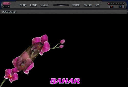 bahar.jpg