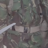 1017665 600556376704010 1001409715 n.png