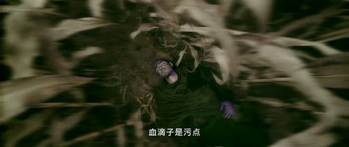 The.Guillotines.2012.2160p.WEB DL.AAC.H265.DV MISS.mkv 20240205 100822.058.png