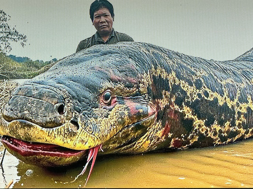 images%2Fimage 1707098621217.jpg