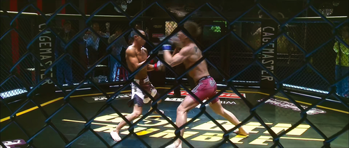 Unbeatable.2013.2160p.WEB DL.AAC.H265.HDR MISS.mkv 20240205 102703.329.png