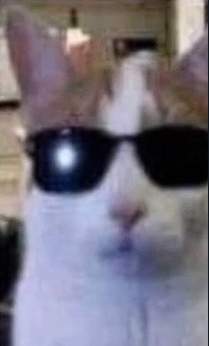 c4049184c70d.png
