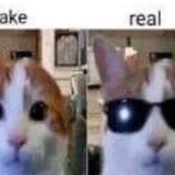 15ca1a33cb18.png