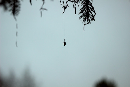 IMG 1849 b.jpg