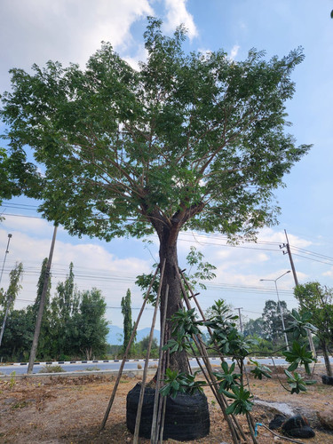 6fa2eb02 7da0 4799 baab 506d9970eeb1.jpg