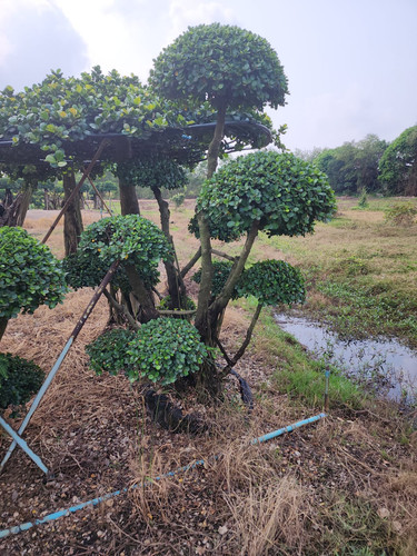 5364fbfc 3595 4228 9d4c 50281e177420.jpg