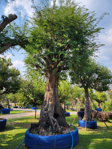 546a2131 68d6 4a27 82e3 0df778020e1f.jpg