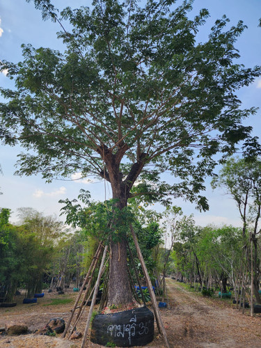 42407c5f 5570 43e3 ac12 165a33c41b8b.jpg