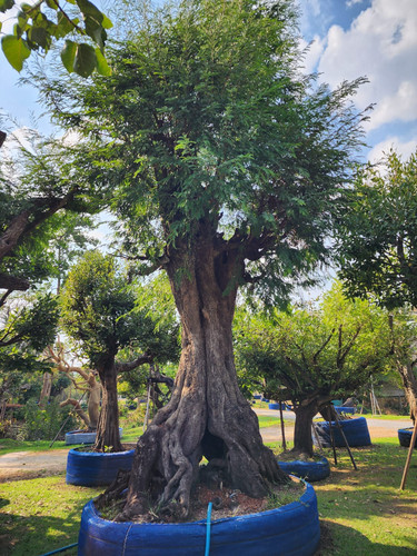 88b42ebc 2ae1 4632 b70f 027b61eec7c1.jpg