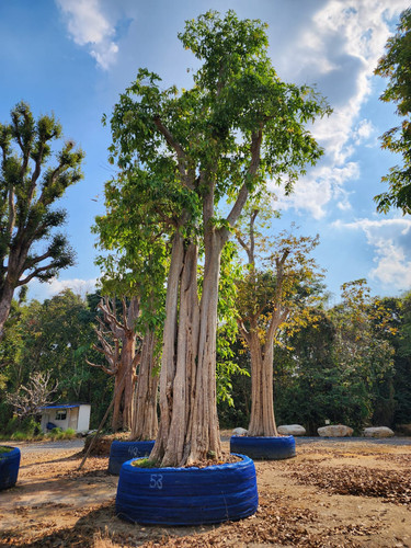 109d9563 6490 4055 bd35 8e0ef0897248.jpg