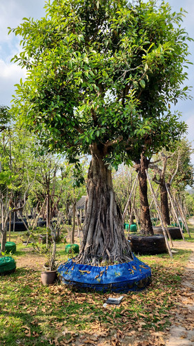 41765433 bd83 487f b388 97908482ceb1.jpg