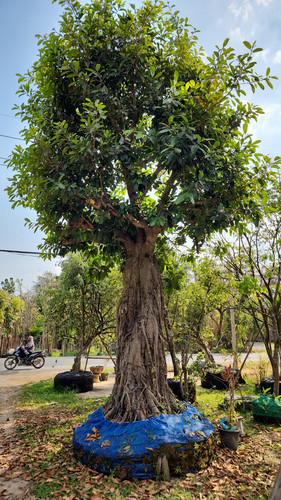 d796e342 2d08 42b5 86a1 70e644cc0c11 (1).jpg