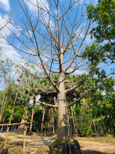 0a107d50 facf 4720 bce7 659dfc8daa07.jpg