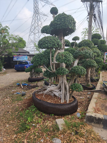 0c832602 3c74 4fb8 a898 a8de7d0facee.jpg