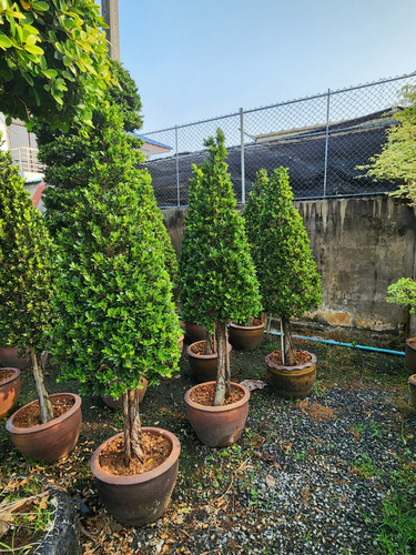 6b1314d9 aa6f 459f 86c8 cd61745f3782.jpg