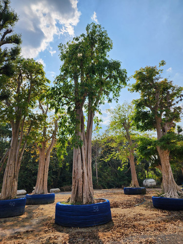 3ad1293f 184c 4d73 b5d0 b826c2f8d9d9.jpg