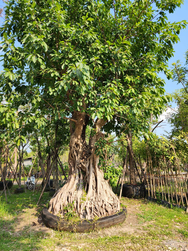 3aa2f800 df75 4b73 8b98 11e58f7e155a (1).jpg