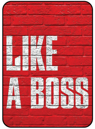 Like A Boss.jpg