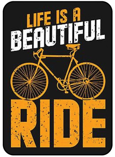 Life Is a Besutiful Ride.jpg