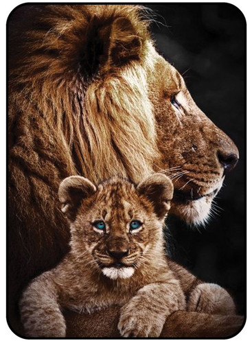 Lion & Child.jpg