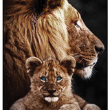 Lion &amp; Child