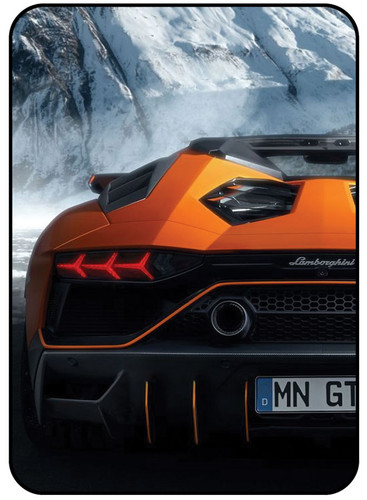 Lamborghini Back Side 1