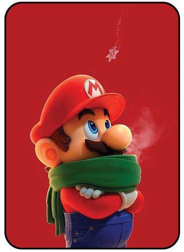 Mario Brother 2.jpg