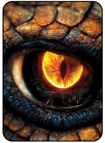 Dragon Eye 1.jpg
