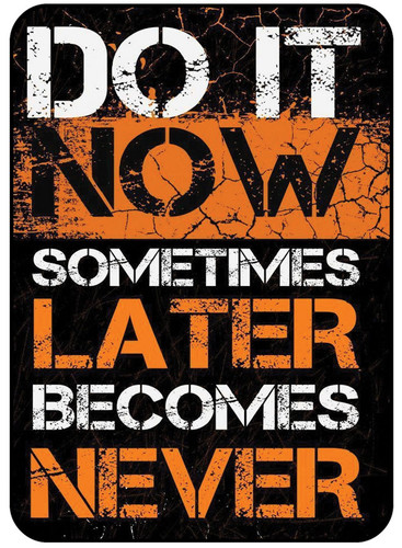 Do It Now Sometimes Later Becomes Never.jpg