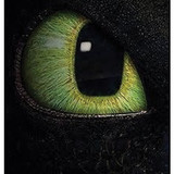 Dragon Eye 2