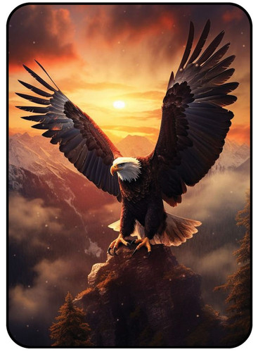Eagle 1.jpg