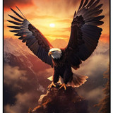 Eagle 1