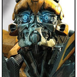 Bumblebee 1