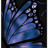 Butterflies 7