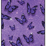 Butterflies 12