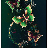 Butterflies 4
