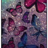 Butterflies 13