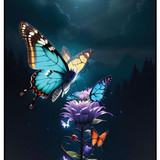 Butterfly 2