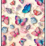 Butterflies 14