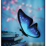 Butterfly On Books
