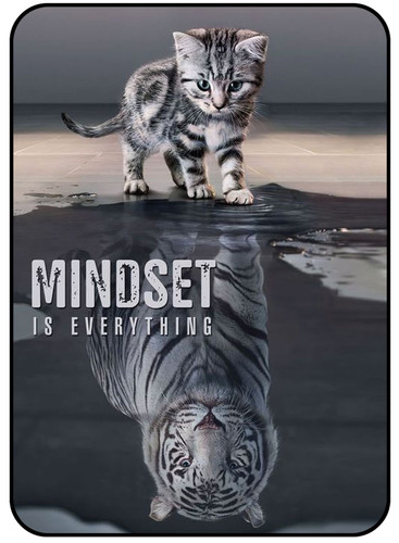 Mindset is everything.jpg