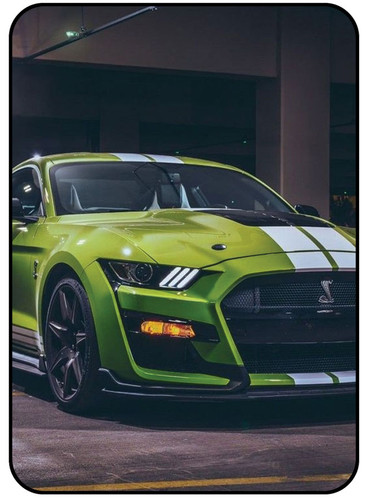 Mustang.jpg