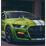 Mustang