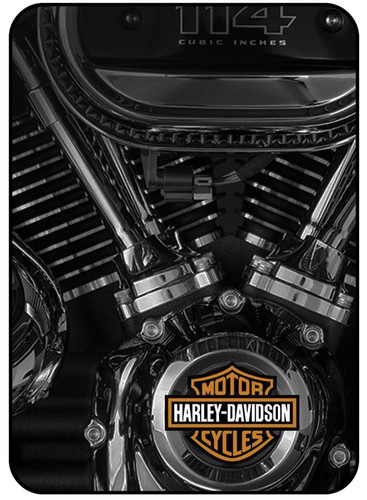 Motor Harley Davidson Cycles Engine.jpg