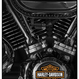 Motor Harley Davidson Cycles Engine