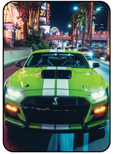 Mustang 1.jpg