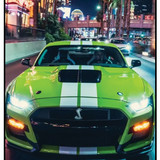Mustang 1