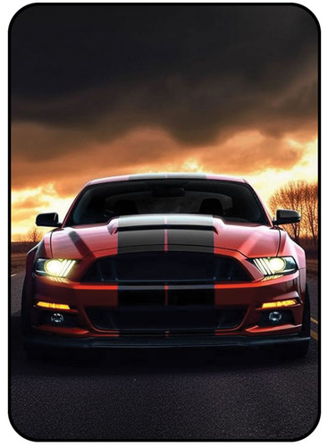 Mustang Car 1.jpg