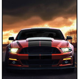 Mustang Car 1